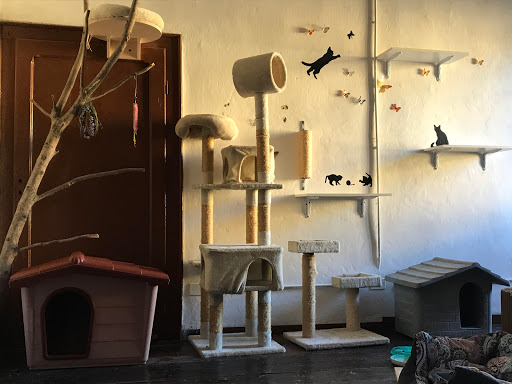 Pensioni per cani e dog hotel a Purrfect House