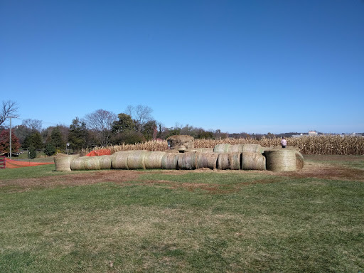 Dairy Farm «Cows-N-Corn», reviews and photos, 5225 Catlett Rd, Midland, VA 22728, USA