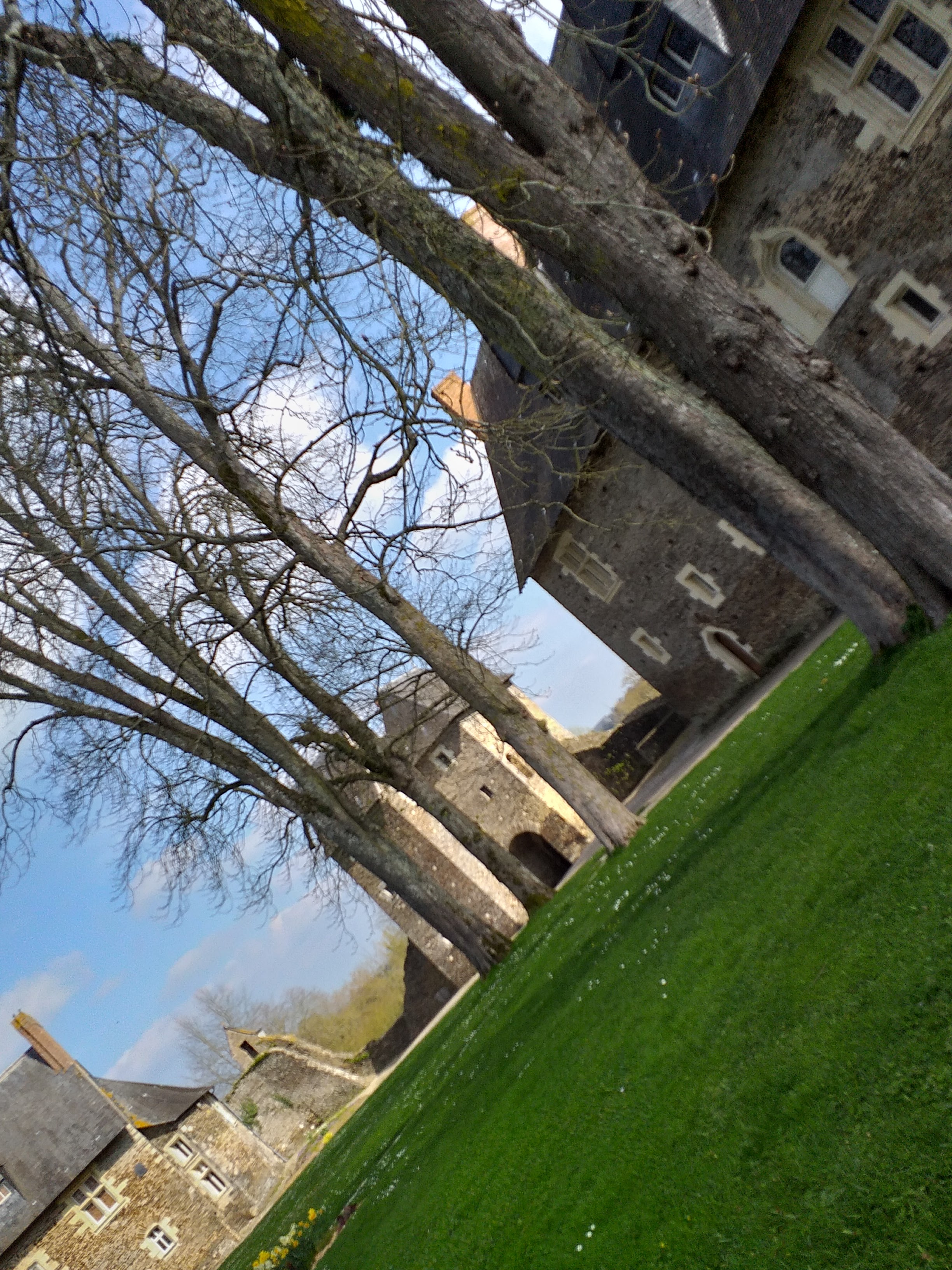 Photo n° 5 de l'avis de Sloman.u fait le 10/04/2019 à 22:05