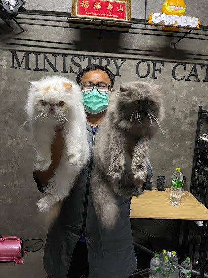 Ministry of Cat กระทรวงแมว