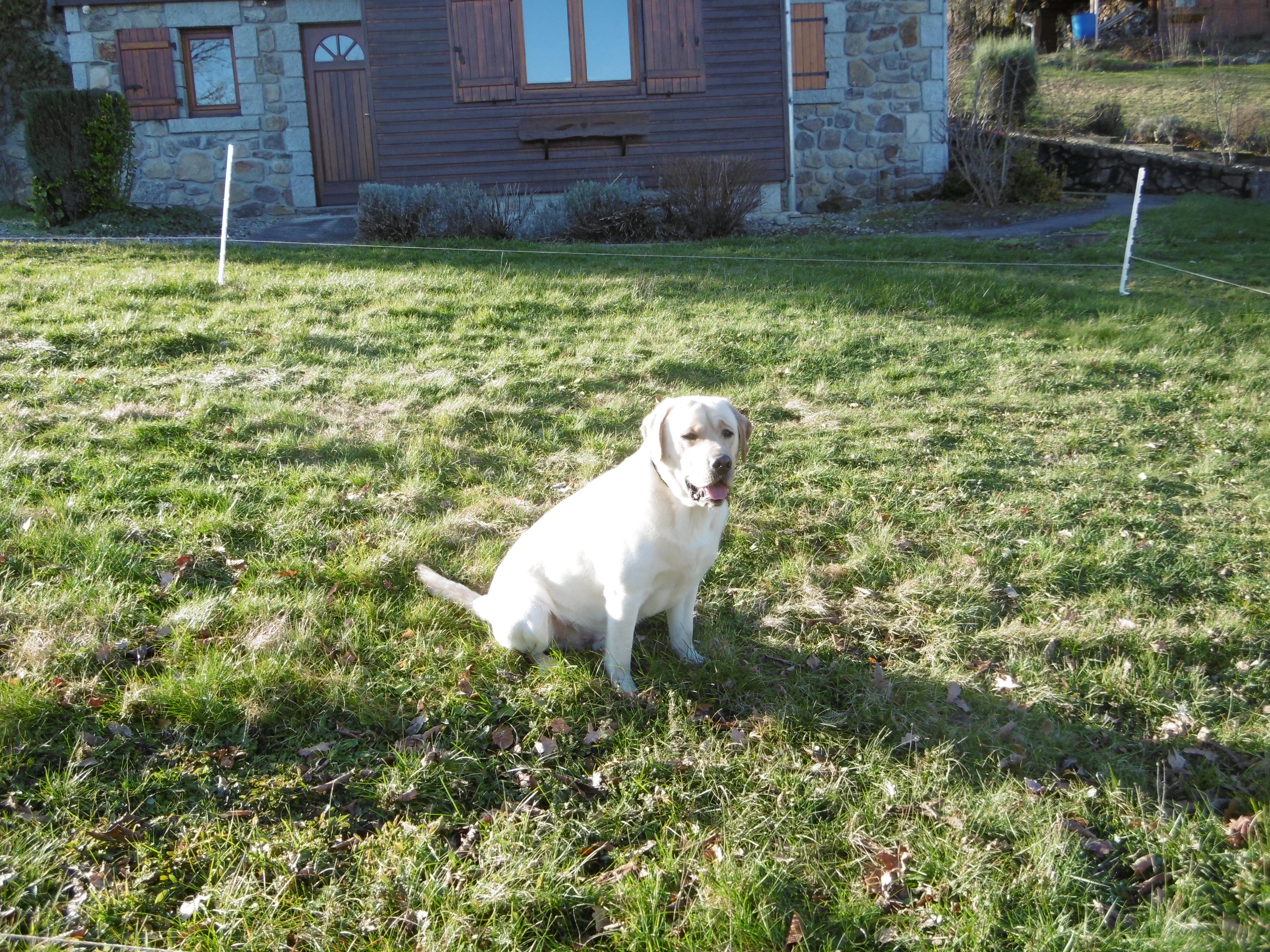 Photo n° 8 de l'avis de Corinne.o fait le 27/09/2018 à 08:15