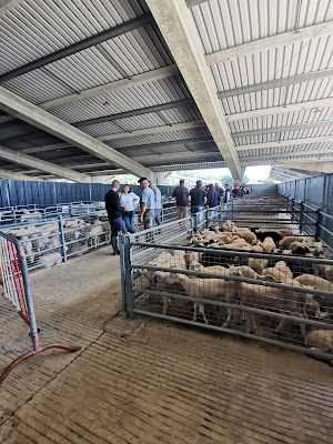 Parc du Val d'Adour (Marché aux Bestiaux) à Rabastens-de-Bigorre