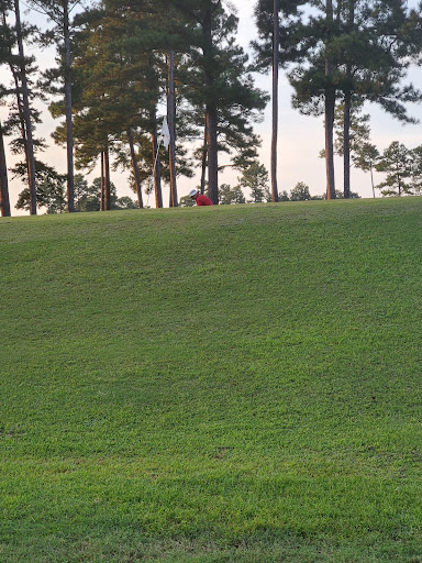 Golf Course «City of Bessemer Frank House Golf Course», reviews and photos