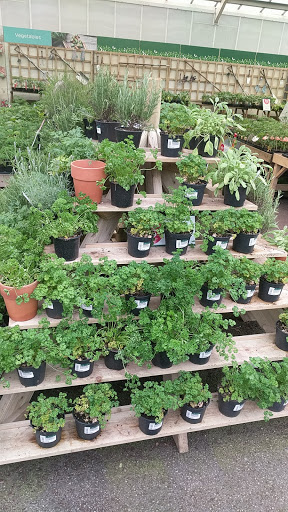 Seedling sales Stockport