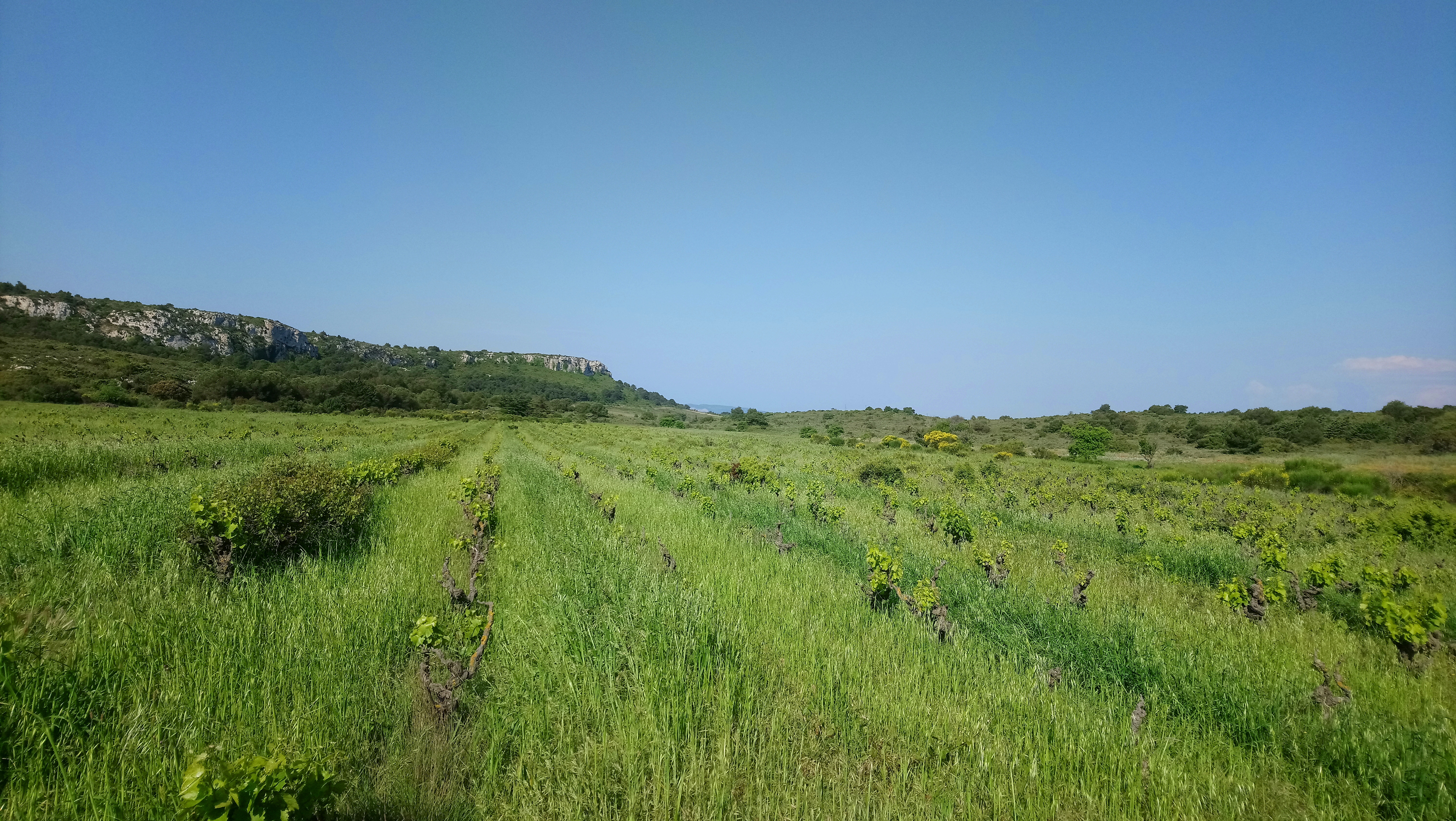 Photo n° 3 de l'avis de Némésis. fait le 21/05/2018 à 16:58