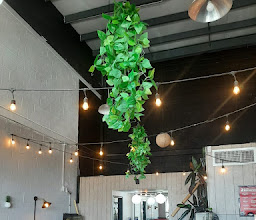 Sun Roll Sushi Campobello photo