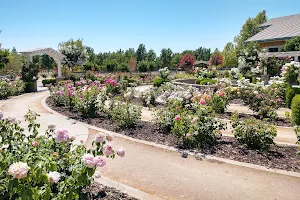Natomas Rose Garden image
