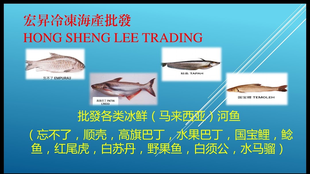 Hong Sheng Lee Trading