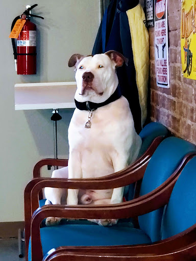 Barber Shop «Super Star Cuts Barbershop», reviews and photos, 107 N Kaufman St, Seagoville, TX 75159, USA