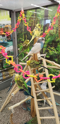 Pet Supply Store «Petco Animal Supplies», reviews and photos, 859 Kings Creek Dr, Tupelo, MS 38804, USA