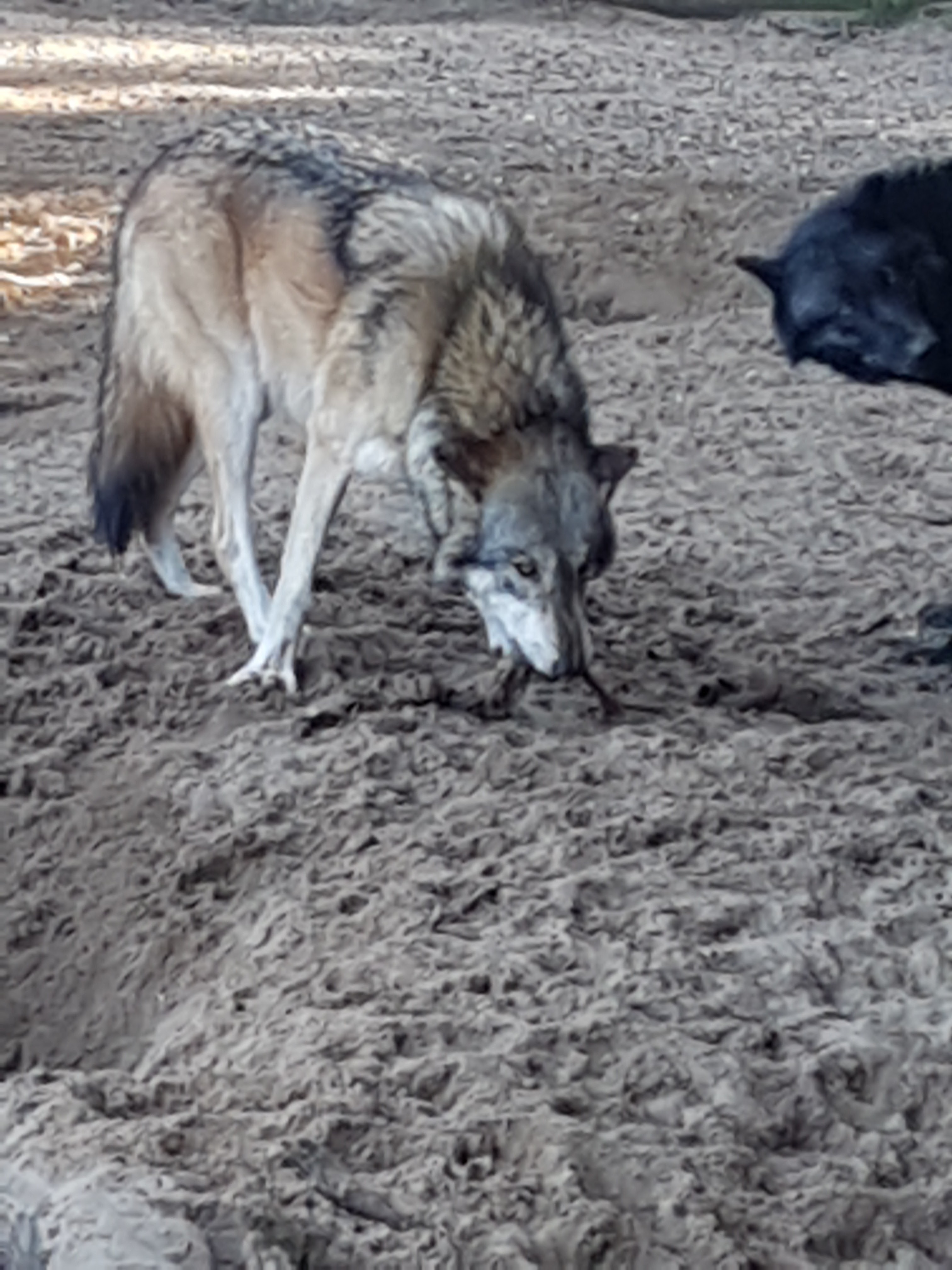 Photo n° 14 de l'avis de mathieu.i fait le 29/09/2019 à 18:29