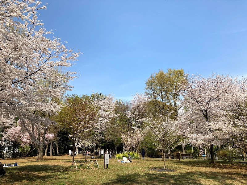 日吉の丘公園