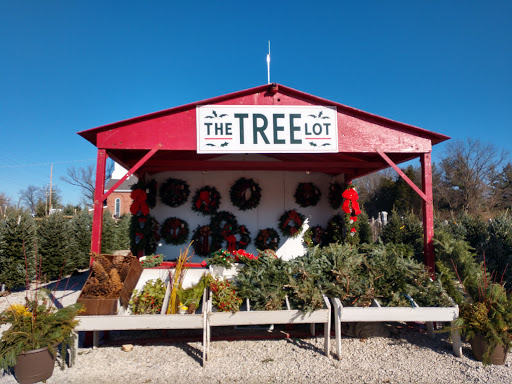 The Tree Lot