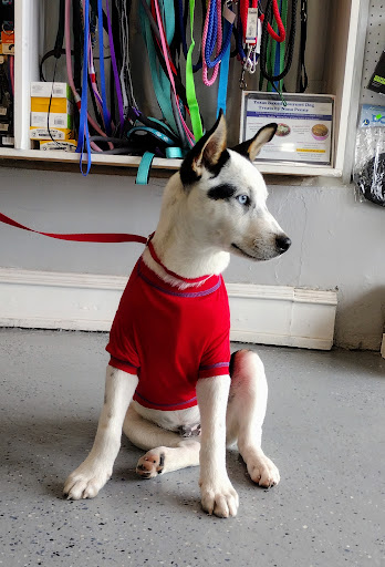 Pet Supply Store «The Dog House», reviews and photos, 4237 S Alameda St, Corpus Christi, TX 78412, USA