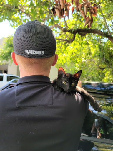 Pet Supply Store «Pet Club Santa Rosa», reviews and photos, 1935 Santa Rosa Ave, Santa Rosa, CA 95407, USA