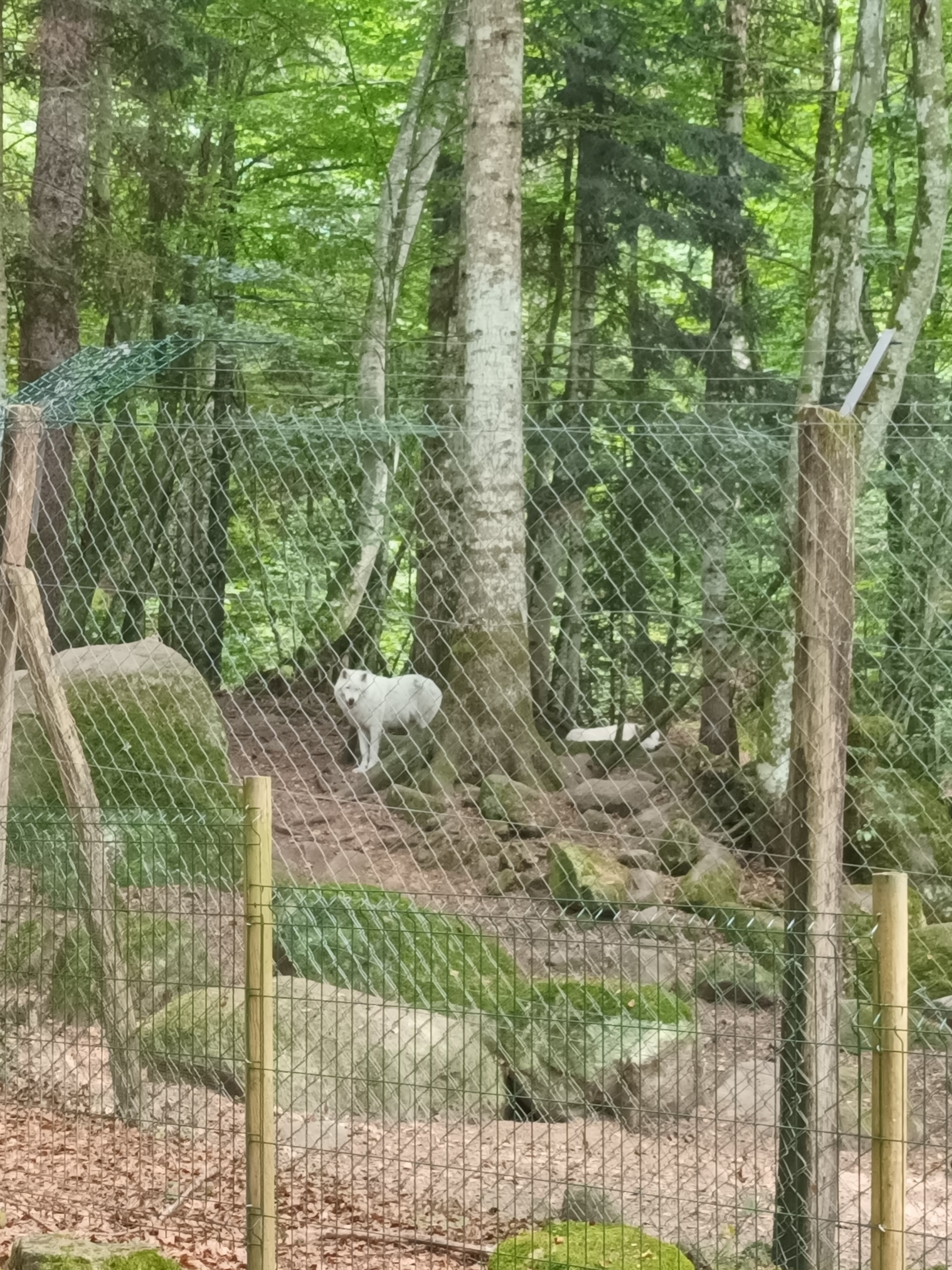 Photo n° 3 de l'avis de Hélène.i fait le 25/08/2023 à 19:07