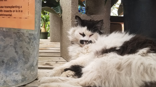 Hardware Store «Big Tool Box», reviews and photos, 8080 S Holly St, Centennial, CO 80122, USA