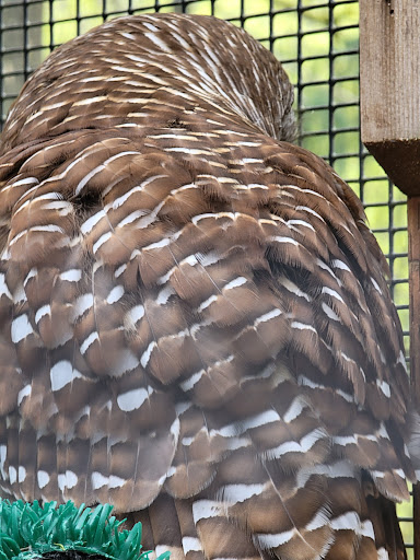 Nature Preserve «Cascades Raptor Center», reviews and photos, 32275 Fox Hollow Rd, Eugene, OR 97405, USA