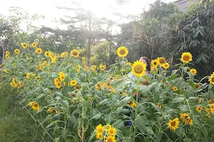 Narmada Botanic Garden image