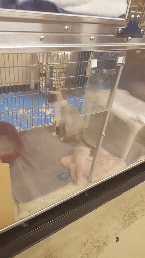 Pet Supply Store «PetSmart», reviews and photos, 1559 Merritt Blvd, Dundalk, MD 21222, USA