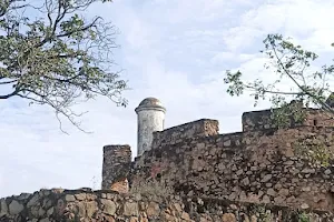 Fortín El Zamuro image