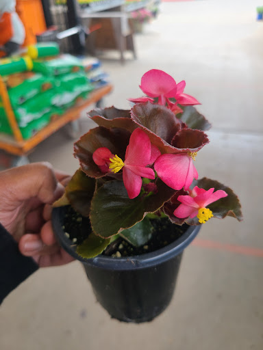 Home Improvement Store «The Home Depot», reviews and photos, 5995 Eldorado Pkwy, Frisco, TX 75034, USA