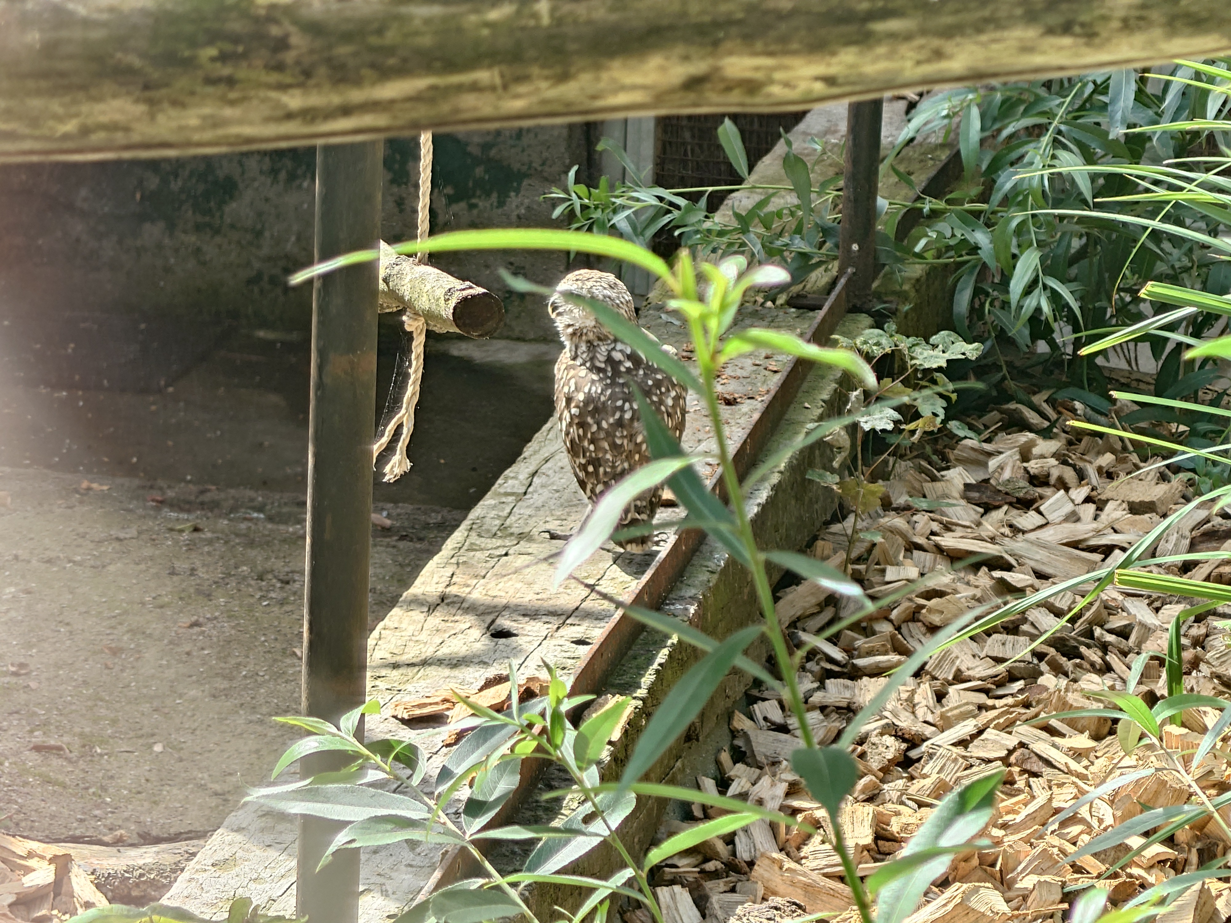 Photo n° 3 de l'avis de Régis.a fait le 14/08/2023 à 11:09