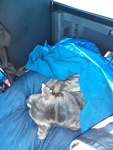 Trucking Company «Werner Enterprises, Inc.», reviews and photos, 8701 Peterbilt Ave, Dallas, TX 75241, USA