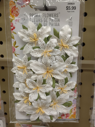 Craft Store «Hobby Lobby», reviews and photos, 42643 Ford Rd, Canton, MI 48187, USA