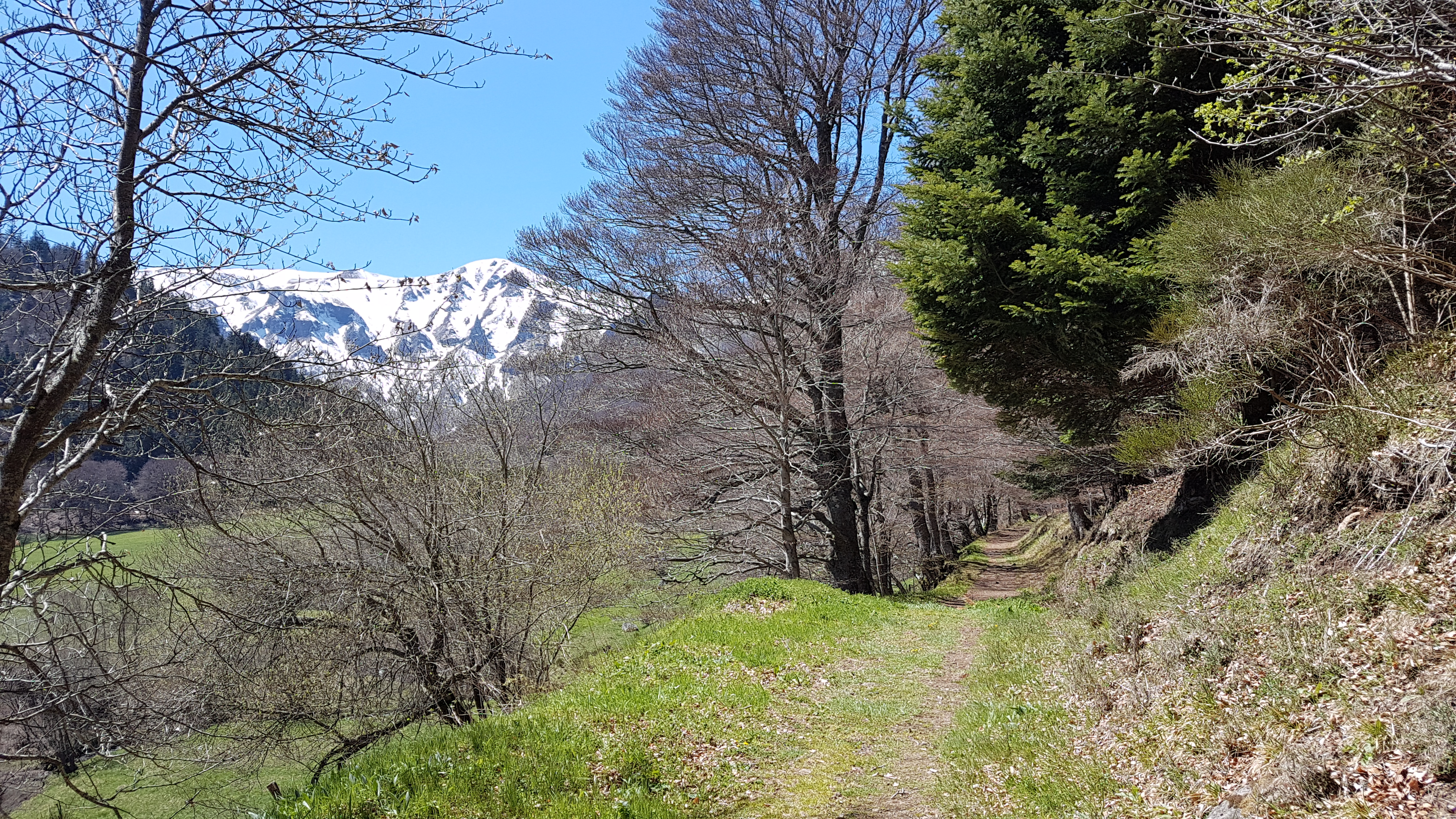 Photo n° 19 de l'avis de Gogoci.a fait le 07/05/2017 à 01:26