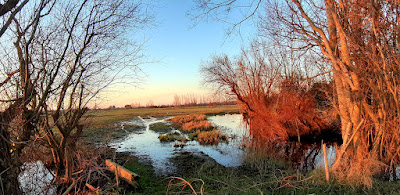 Soullans, Pays de la Loire, France à Soullans