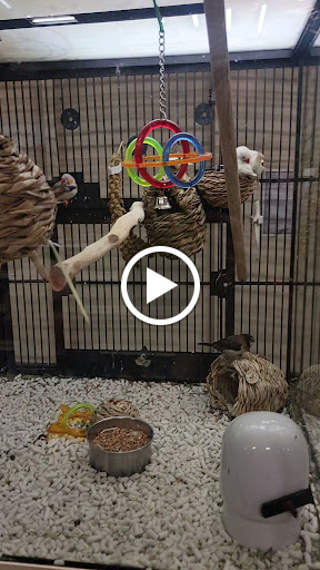 Pet Supply Store «Petco Animal Supplies», reviews and photos, 475 S Wadsworth Blvd, Lakewood, CO 80226, USA