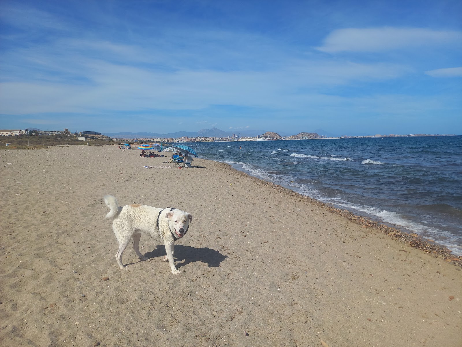 Playa de Agua Amarga photo #8