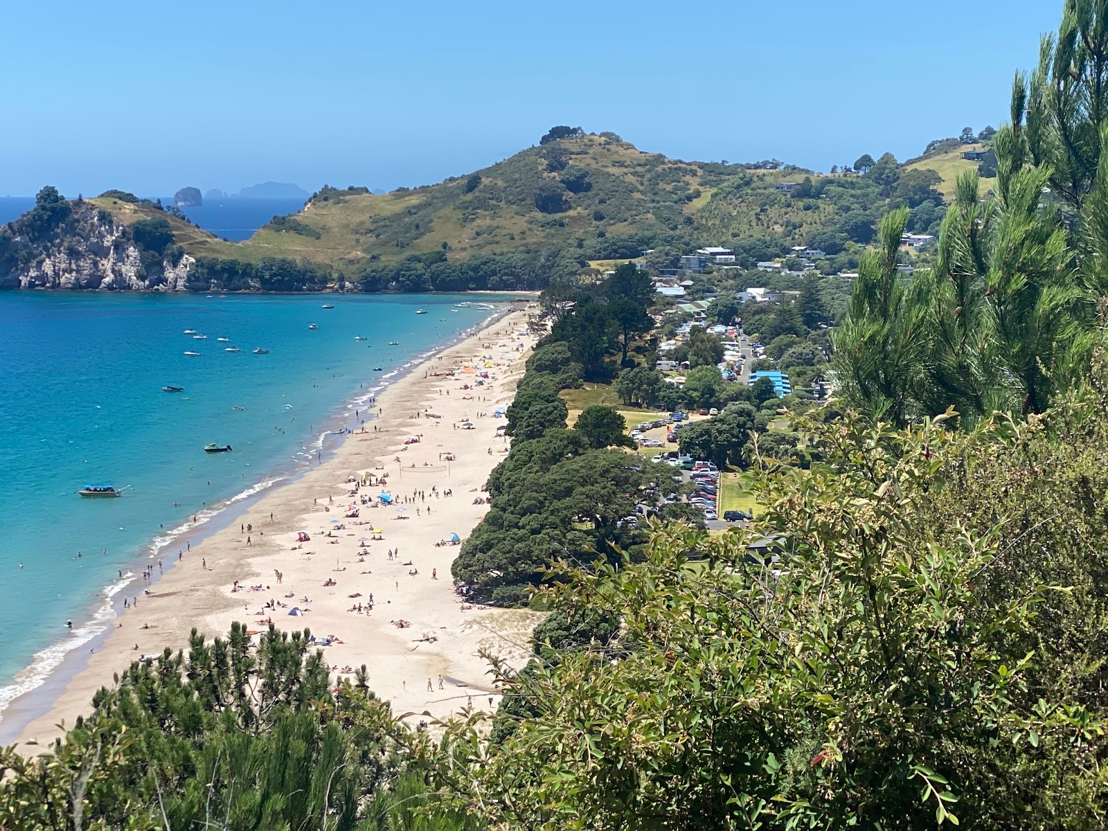 Foto van Hahei Beach met recht en lang