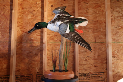 His Wings Taxidermy
