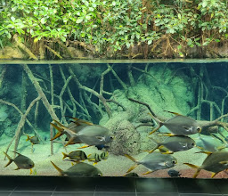 Aquarium Berlin photo