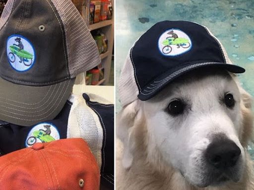 Pet Store «Wholesome Hound», reviews and photos, 198 Tamiami Trail N, Naples, FL 34102, USA