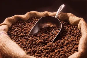 Rowdy Beans Coffee Roasters image