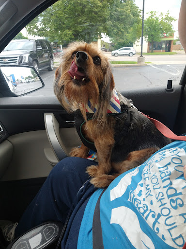 Pet Supply Store «Pet Supplies Plus», reviews and photos, 15060 Eureka Rd, Southgate, MI 48195, USA