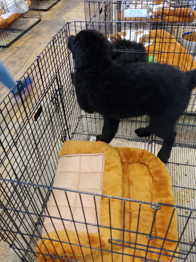 Pet Supply Store «Pet Ranch», reviews and photos, 3823 E 120th Ave, Denver, CO 80233, USA