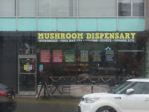 Medicinal Mushroom Dispensary