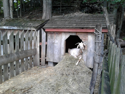 Farm «Quiet Valley Living Historical Farm», reviews and photos, 347 Quiet Valley Rd, Stroudsburg, PA 18360, USA