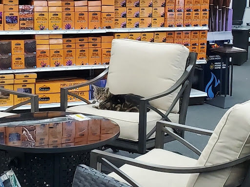 Hardware Store «DIY Center», reviews and photos, 3221 W Magnolia Blvd, Burbank, CA 91505, USA