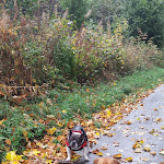Photo n°8 de l'avis de Beate.a fait le 03/10/2018 à 13:49 sur le  Hotel & Gasthof Hubertushöhe à Schmallenberg