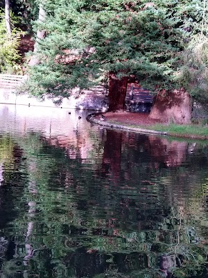 Sequoia Park - photo 35
