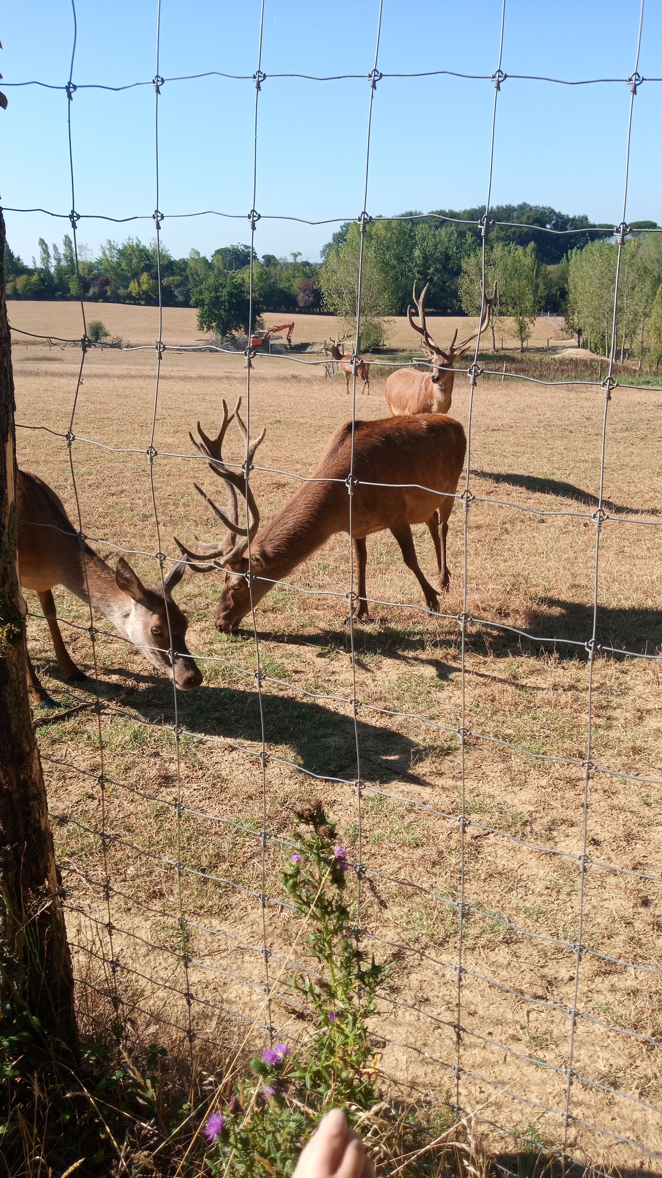 Photo n° 2 de l'avis de Gaëlle.a fait le 29/08/2022 à 10:24