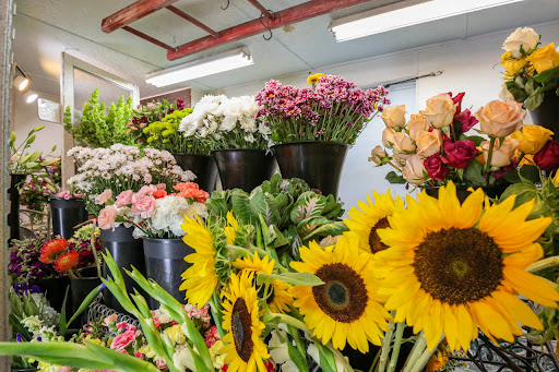 Florist «Grass Valley Florist», reviews and photos, 2153 Nevada City Hwy, Grass Valley, CA 95945, USA