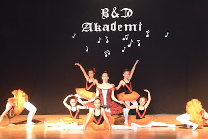 BD Akademi