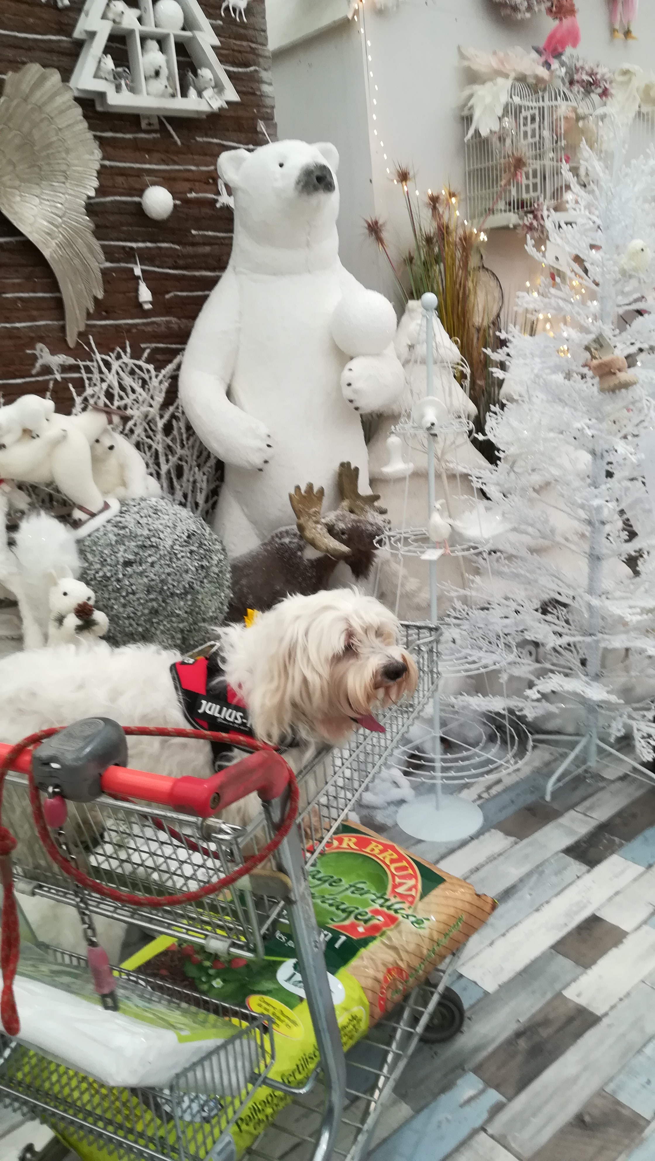 Photo n° 2 de l'avis de Charline.O fait le 10/12/2018 à 17:38