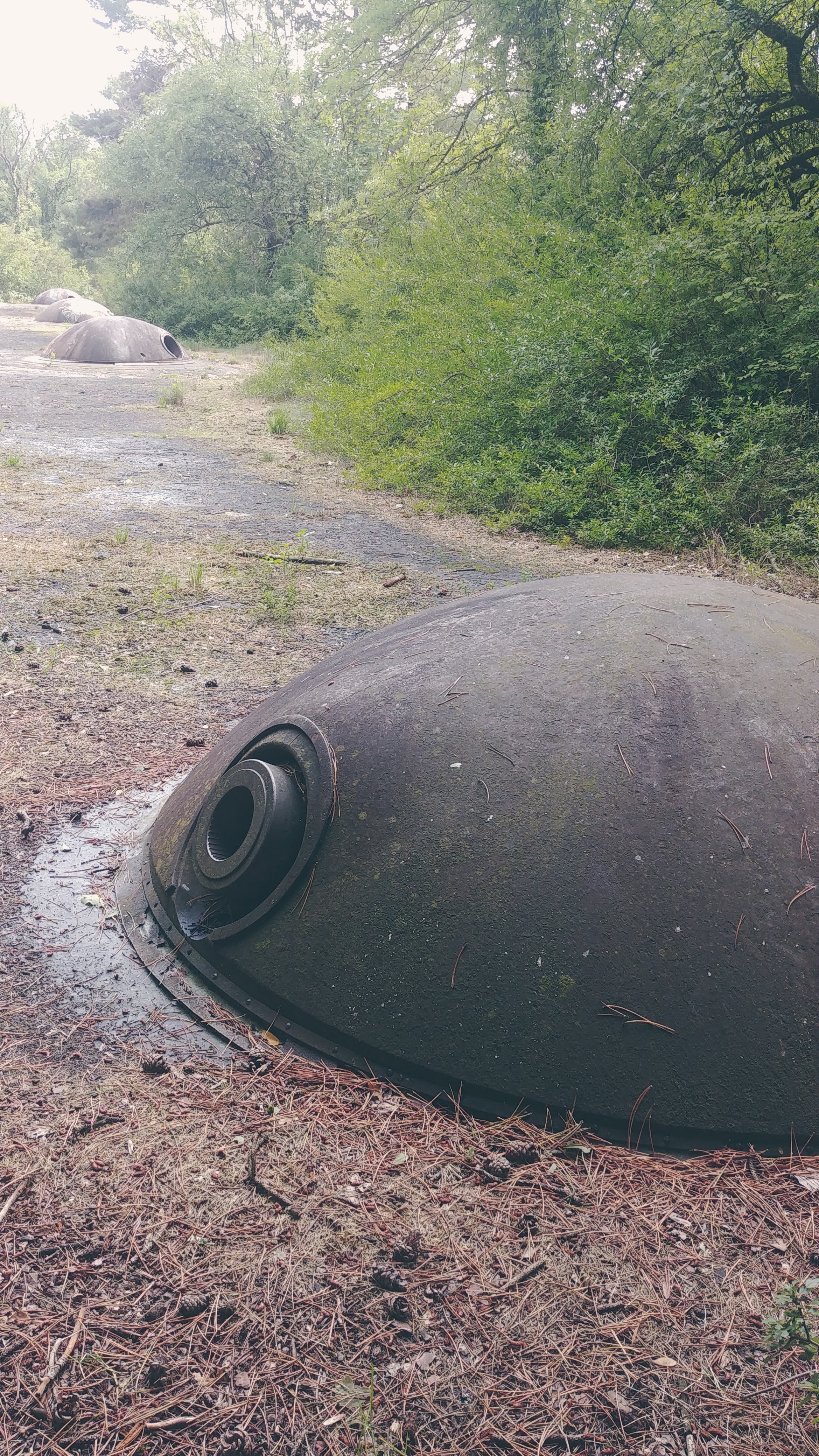 Photo n° 5 de l'avis de Thierry.o fait le 03/08/2023 à 16:57